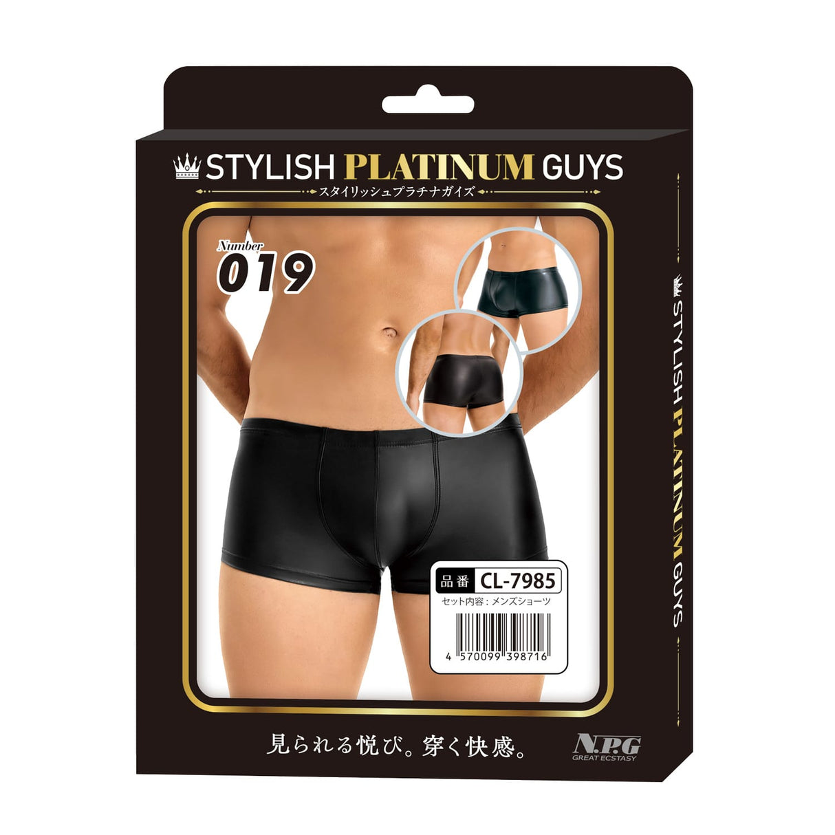 Stylish Platinum Guys - Men's Sheer Underwear Collection CherryAffairs