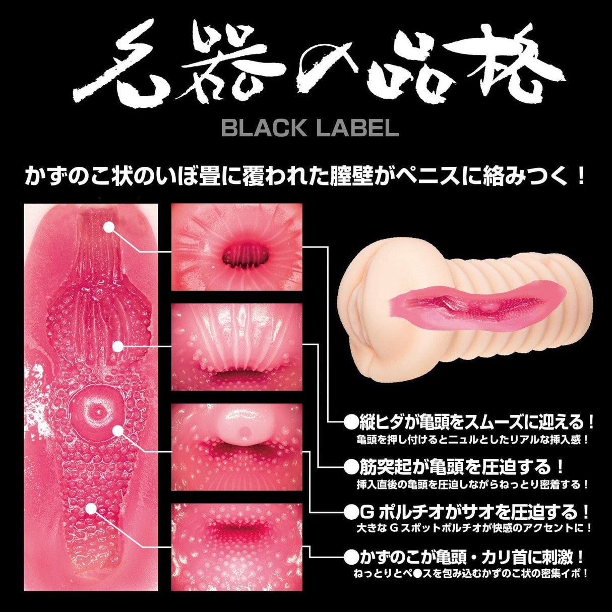 NPG - The Dignity of a Masterpiece Black Label Meiki Onahole (Beige) NPG1171 CherryAffairs