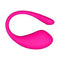 Vibrator
